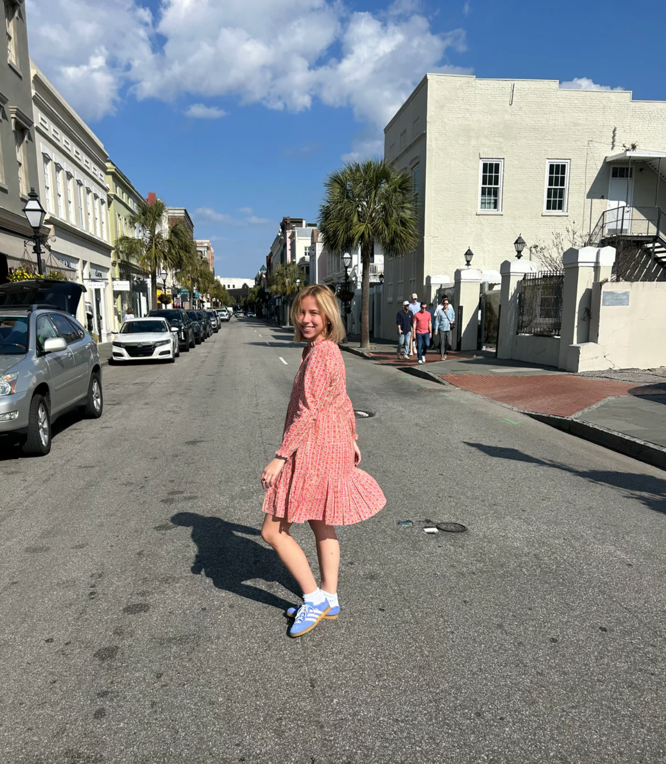 Folly Mini Dress Pink Garden Stripe